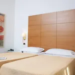 Hotel City Hotel 3*