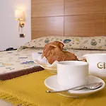 Hotel City Hotel 3*